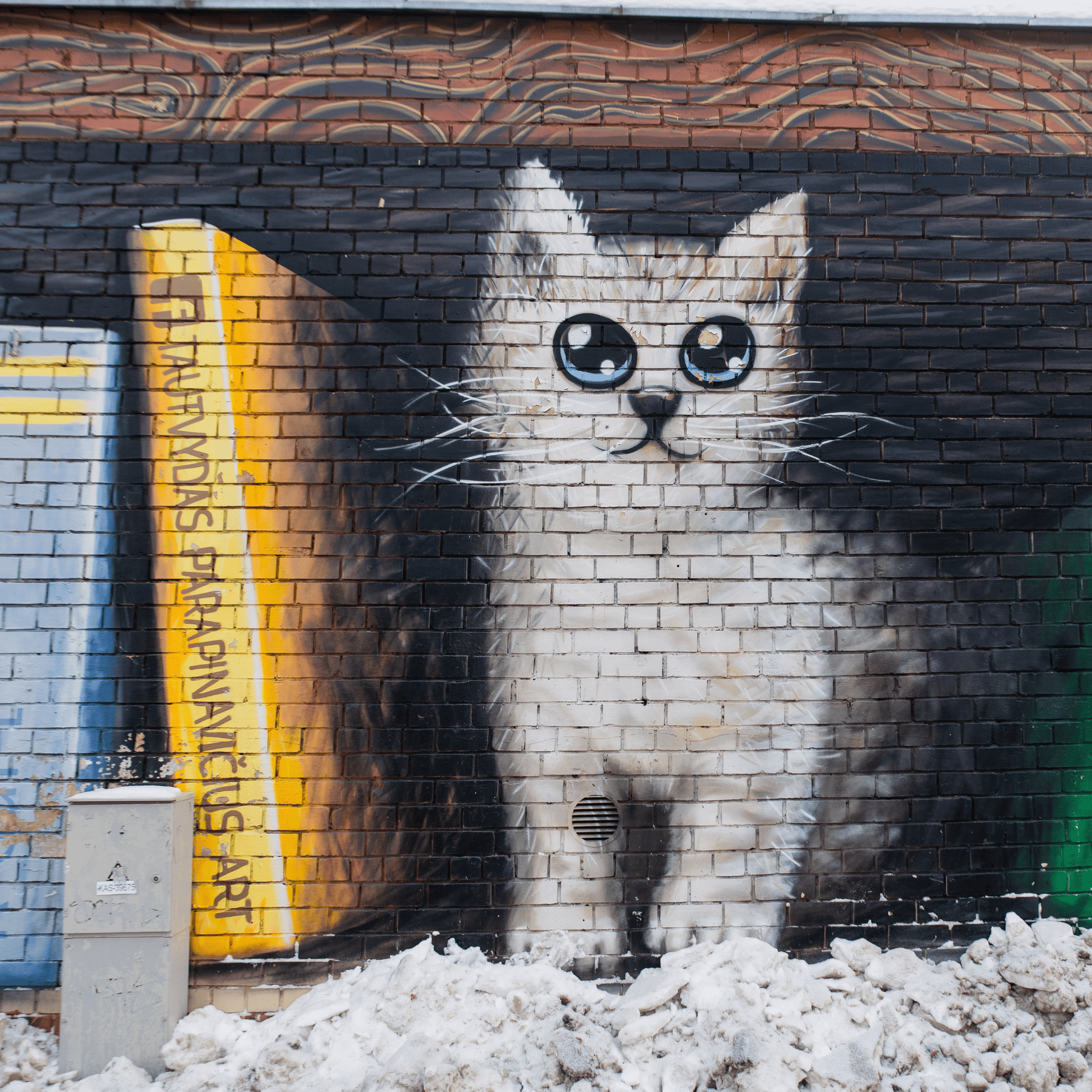 Katinas Naujininkuose_nuotr. V. Ribokaitės